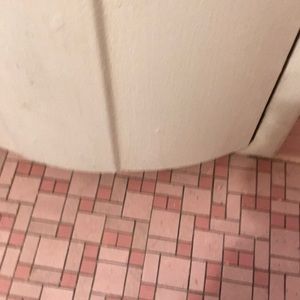 Meet your Posher, Arlene